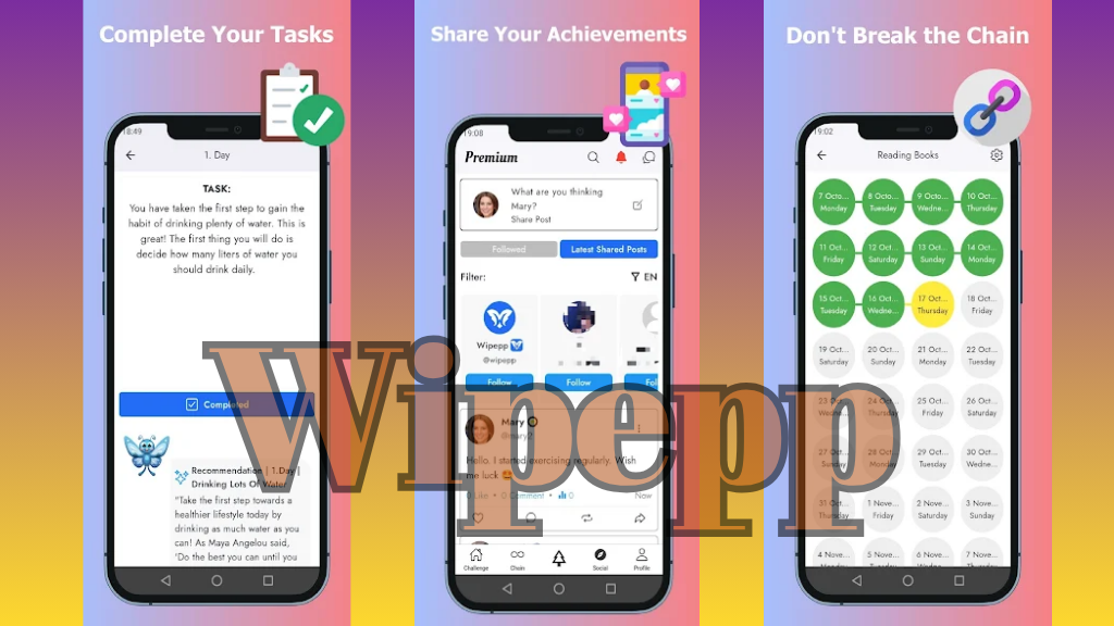 wipepp apk